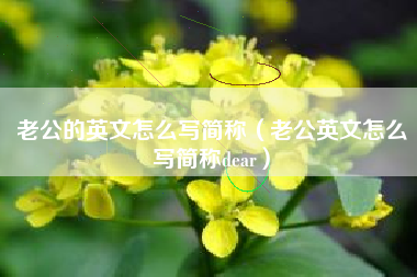 老公的英文怎么写简称（老公英文怎么写简称dear）