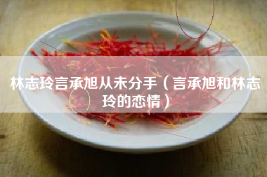 林志玲言承旭从未分手（言承旭和林志玲的恋情）