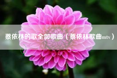 蔡依林的歌全部歌曲（蔡依林歌曲mtv）