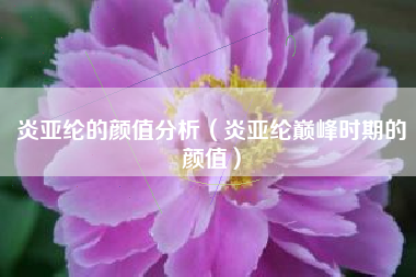 炎亚纶的颜值分析（炎亚纶巅峰时期的颜值）