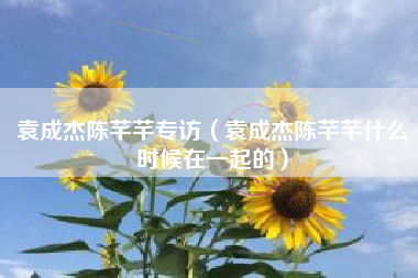 袁成杰陈芊芊专访（袁成杰陈芊芊什么时候在一起的）