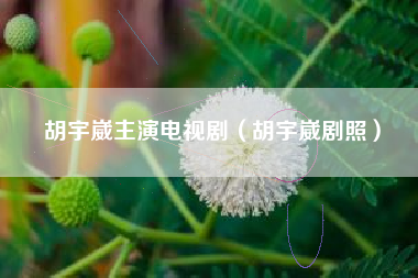 胡宇崴主演电视剧（胡宇崴剧照）