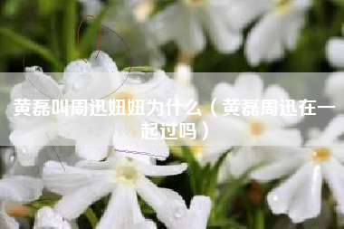 黄磊叫周迅妞妞为什么（黄磊周迅在一起过吗）