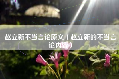 赵立新不当言论原文（赵立新的不当言论内容）