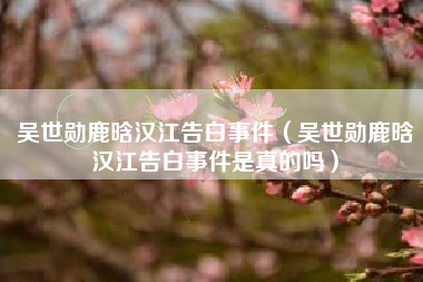 吴世勋鹿晗汉江告白事件（吴世勋鹿晗汉江告白事件是真的吗）