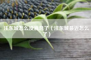 汪东城怎么没消息了（汪东城最近怎么了）