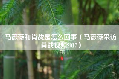 马薇薇和肖战是怎么回事（马薇薇采访肖战视频2017）