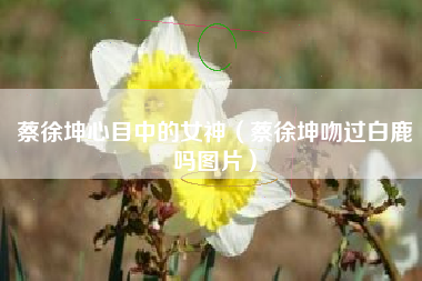 蔡徐坤心目中的女神（蔡徐坤吻过白鹿吗图片）