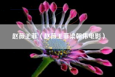 赵薇王菲（赵薇王菲梁朝伟电影）