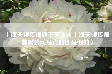 上海天娱传媒旗下艺人（上海天娱传媒有限公司是真的还是假的）