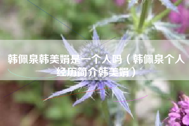 韩佩泉韩美娟是一个人吗（韩佩泉个人经历简介韩美娟）
