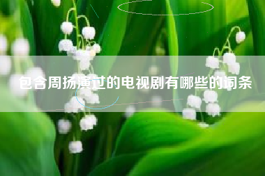 包含周扬演过的电视剧有哪些的词条