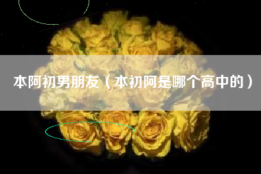 本阿初男朋友（本初阿是哪个高中的）