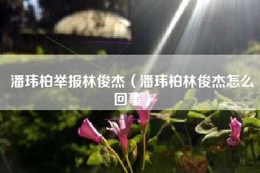 潘玮柏举报林俊杰（潘玮柏林俊杰怎么回事）