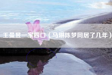 王曼昱一家四口（马琳陈梦同居了几年）