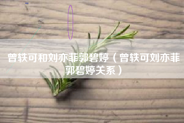 曾轶可和刘亦菲郭碧婷（曾轶可刘亦菲郭碧婷关系）
