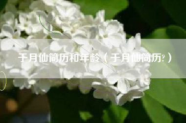 于月仙简历和年龄（于月仙简历?）