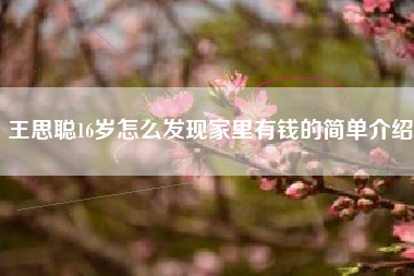 王思聪16岁怎么发现家里有钱的简单介绍