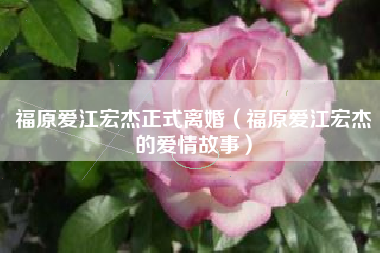 福原爱江宏杰正式离婚（福原爱江宏杰的爱情故事）