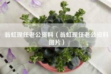 翁虹现任老公资料（翁虹现任老公资料图片）
