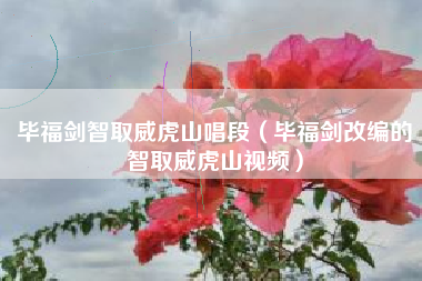 毕福剑智取威虎山唱段（毕福剑改编的智取威虎山视频）