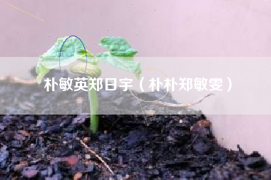 朴敏英郑日宇（朴朴郑敏雯）