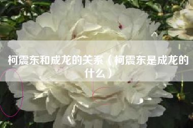 柯震东和成龙的关系（柯震东是成龙的什么）