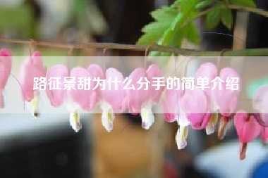 路征景甜为什么分手的简单介绍