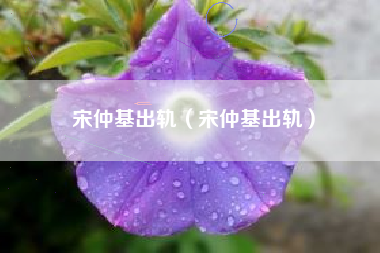 宋仲基出轨（宋仲基出轨）
