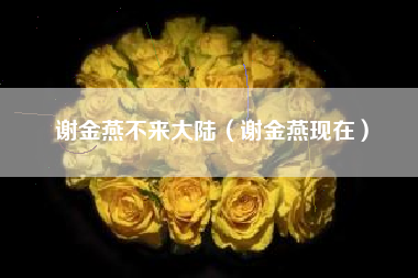 谢金燕不来大陆（谢金燕现在）