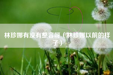 林珍娜有没有整容呀（林珍娜以前的样子）