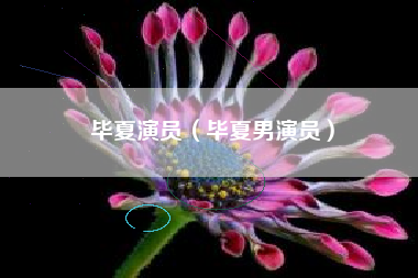 毕夏演员（毕夏男演员）