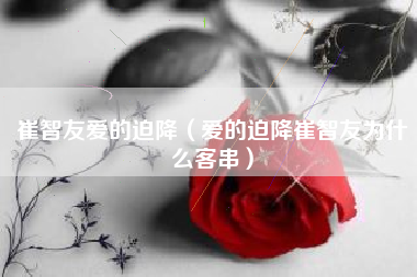 崔智友爱的迫降（爱的迫降崔智友为什么客串）