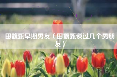 田馥甄早期男友（田馥甄谈过几个男朋友）