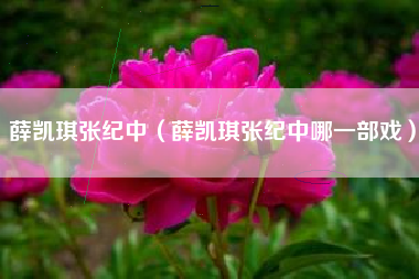 薛凯琪张纪中（薛凯琪张纪中哪一部戏）