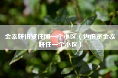 金泰妍伯贤住同一个小区（边伯贤金泰妍住一个小区）