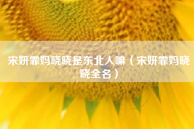 宋妍霏妈晓晓是东北人嘛（宋妍霏妈晓晓全名）