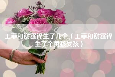 王菲和谢霆锋生了几个（王菲和谢霆锋生了个男孩女孩）