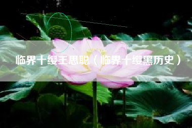 临界十缨王思聪（临界十缨黑历史）