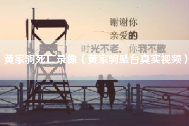 黄家驹死亡录像（黄家驹坠台真实视频）