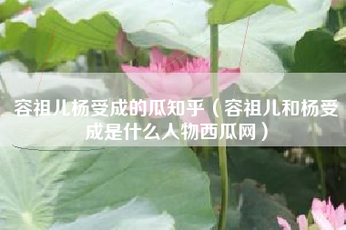 容祖儿杨受成的瓜知乎（容祖儿和杨受成是什么人物西瓜网）