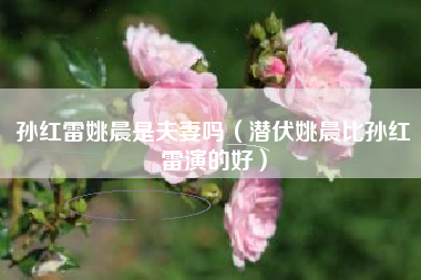 孙红雷姚晨是夫妻吗（潜伏姚晨比孙红雷演的好）
