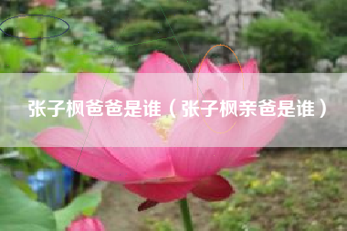 张子枫爸爸是谁（张子枫亲爸是谁）