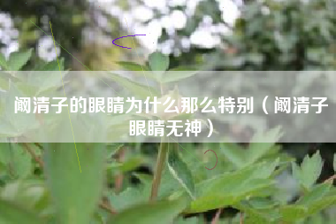 阚清子的眼睛为什么那么特别（阚清子眼睛无神）