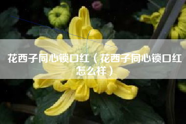 花西子同心锁口红（花西子同心锁口红怎么样）
