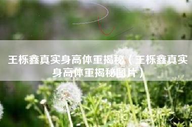 王栎鑫真实身高体重揭秘（王栎鑫真实身高体重揭秘图片）