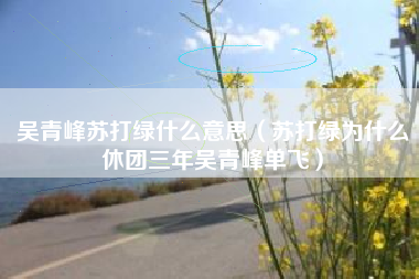 吴青峰苏打绿什么意思（苏打绿为什么休团三年吴青峰单飞）
