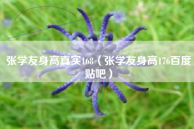 张学友身高真实168（张学友身高176百度贴吧）