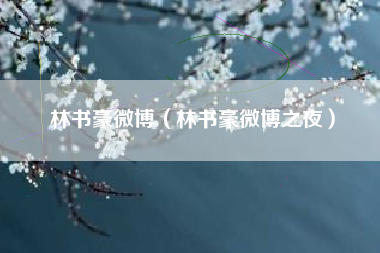 林书豪微博（林书豪微博之夜）