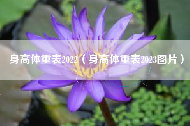 身高体重表2022（身高体重表2023图片）